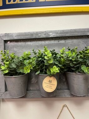 Branch & Blossom Faux Potted Eucalyptus Trio - Green